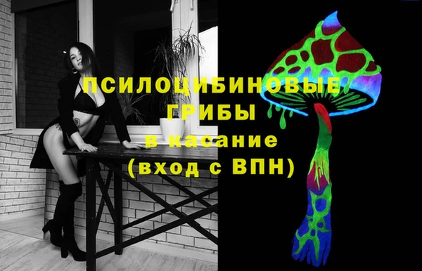 МДПВ Осинники