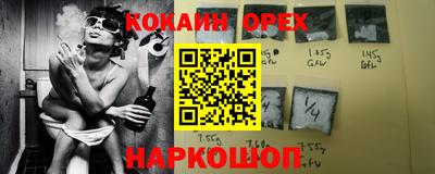 гашик Камышлов
