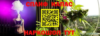 гашик Камышлов