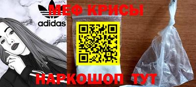 гашик Камышлов