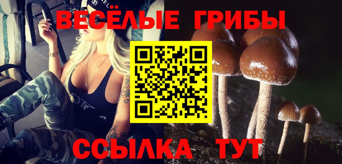 Псилоцибиновые грибы GOLDEN TEACHER Уварово